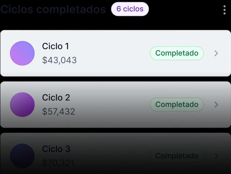 Payment cycles interface